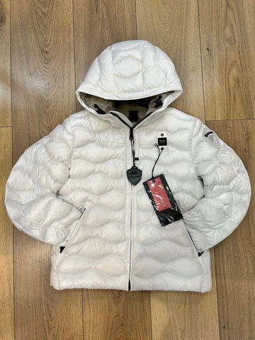 2429 -  - BLAUER